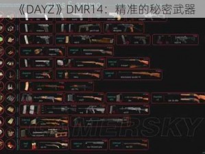 《DAYZ》DMR14：精准的秘密武器