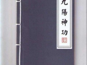 九阳神功清怒技能属性大揭秘，带你领略全新玩法