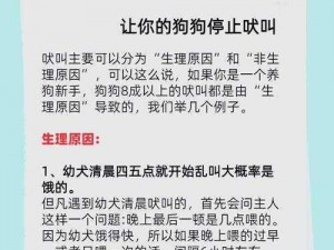 看门狗没声音不用愁，教你几招轻松解决