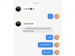 沙雕日常大嫂归家前全方位准备攻略：打造温馨重逢瞬间