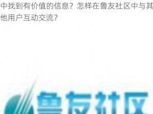 为什么鲁友社区如此受欢迎？如何在鲁友社区中找到有价值的信息？怎样在鲁友社区中与其他用户互动交流？