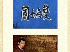 君临天下国士无双列传：技能揭秘与效果解读