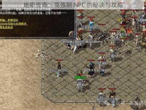 地牢传奇：高效刷 NPC 的秘诀与攻略