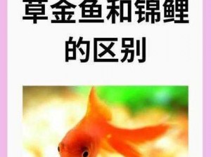 一夹一放和锦鲤吸水有什么区别？