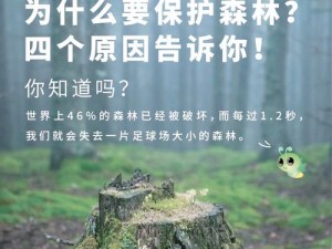 为什么双手在你的森林中游走？如何才能让森林更加茂密？怎样让双手在森林中找到方向？