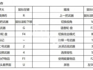 《达斯蒂复仇攻略详解：按键操作全面解析》