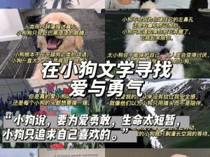 小狗今天草到主人了吗小说—小狗今天草到主人了吗？甜宠文：我的萌系管家