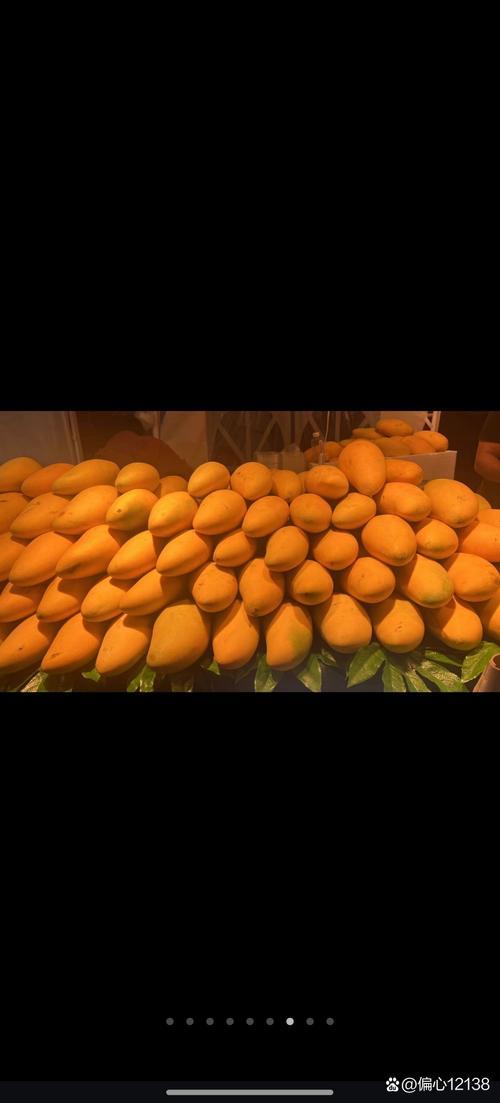 日韩成人毛片高清视频免费看,体验极致视觉盛宴