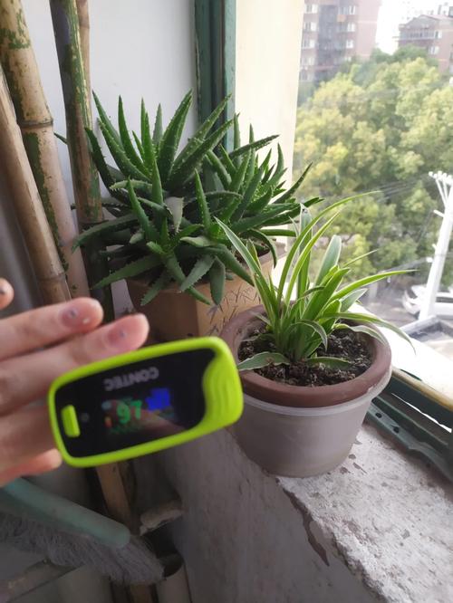 色 97系列产品,优质环保,持久耐用,让您的生活更加丰富多彩