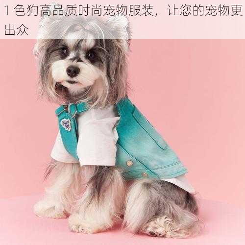 1 色狗高品质时尚宠物服装,让您的宠物更出众