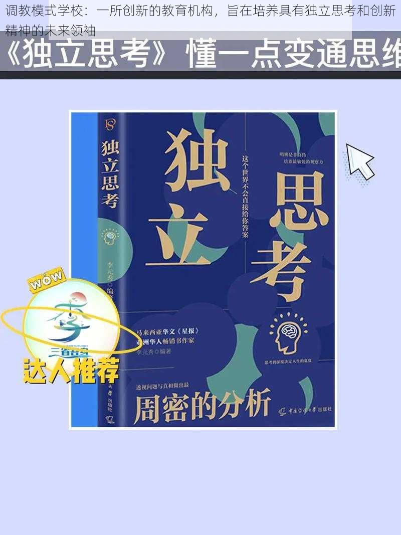 调教模式学校：一所创新的教育机构，旨在培养具有独立思考和创新精神的未来领袖