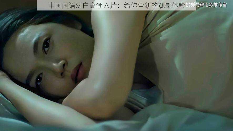 中国国语对白高潮 A 片:给你全新的观影体验
