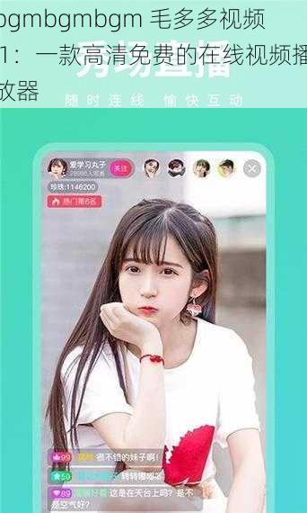 bgmbgmbgm 毛多多视频 1:一款高清免费的在线视频播放器