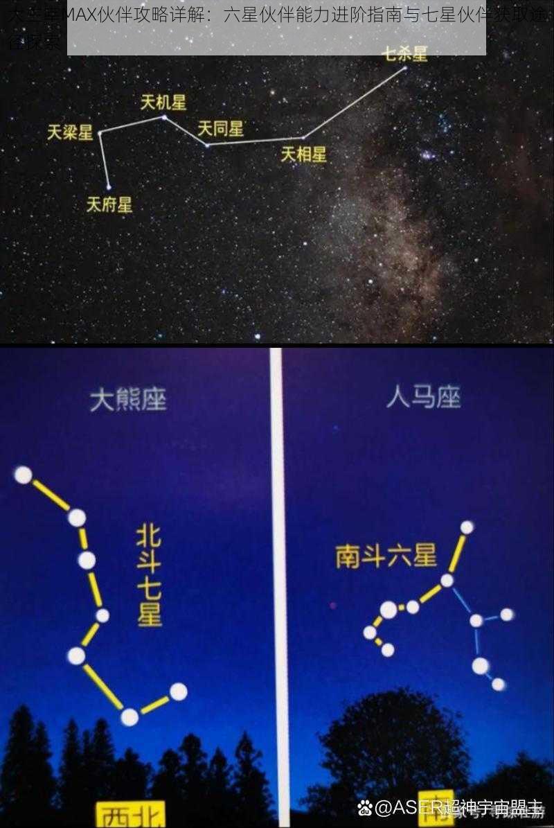 大主宰MAX伙伴攻略详解：六星伙伴能力进阶指南与七星伙伴获取途径探索