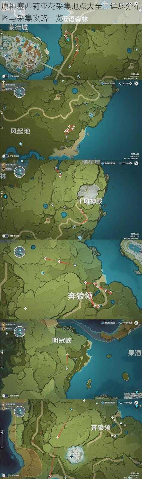 原神塞西莉亚花采集地点大全：详尽分布图与采集攻略一览