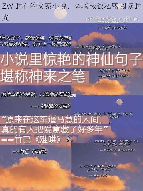 ZW 时看的文案小说，体验极致私密阅读时光