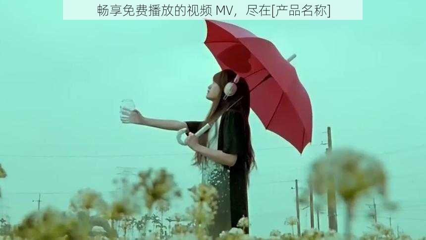 畅享免费播放的视频 MV，尽在[产品名称]