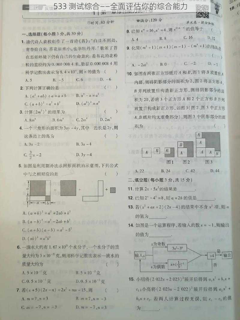 533 测试综合——全面评估你的综合能力