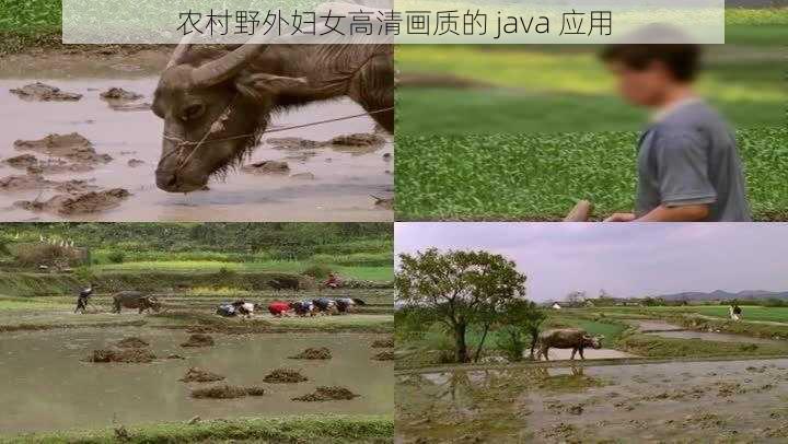 农村野外妇女高清画质的 java 应用