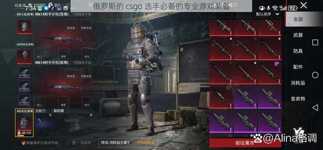 俄罗斯的 csgo 选手必备的专业游戏装备