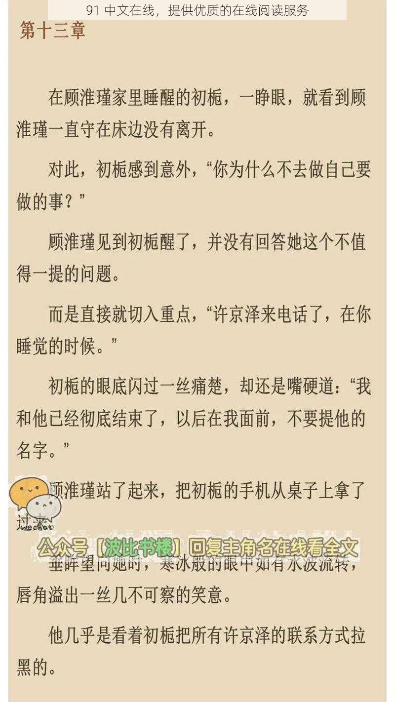 91 中文在线，提供优质的在线阅读服务