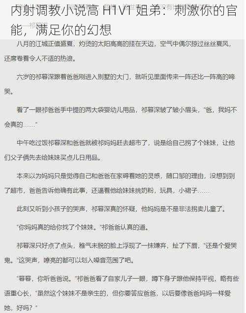 内射调教小说高 H1V1 姐弟：刺激你的官能，满足你的幻想