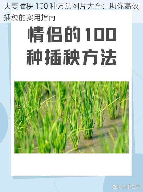 夫妻插秧 100 种方法图片大全：助你高效插秧的实用指南