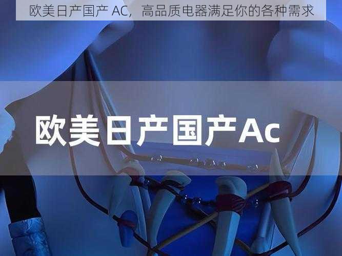 欧美日产国产 AC，高品质电器满足你的各种需求