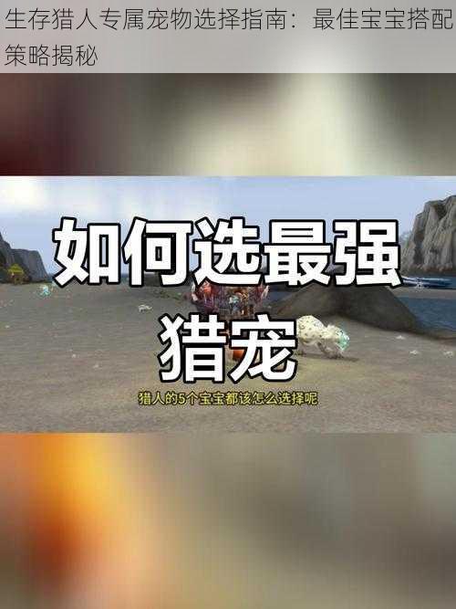 生存猎人专属宠物选择指南：最佳宝宝搭配策略揭秘