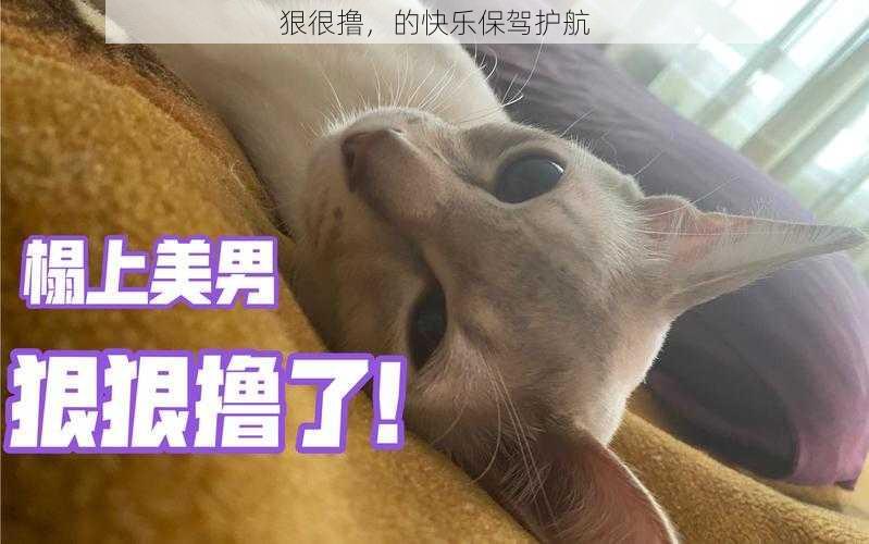 狠很撸，的快乐保驾护航