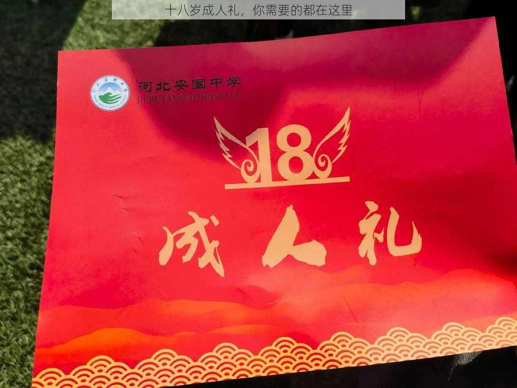 十八岁成人礼，你需要的都在这里