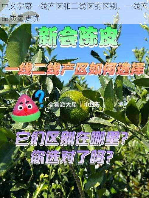 中文字幕一线产区和二线区的区别，一线产品质量更优