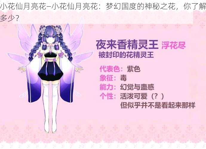 小花仙月亮花—小花仙月亮花：梦幻国度的神秘之花，你了解多少？