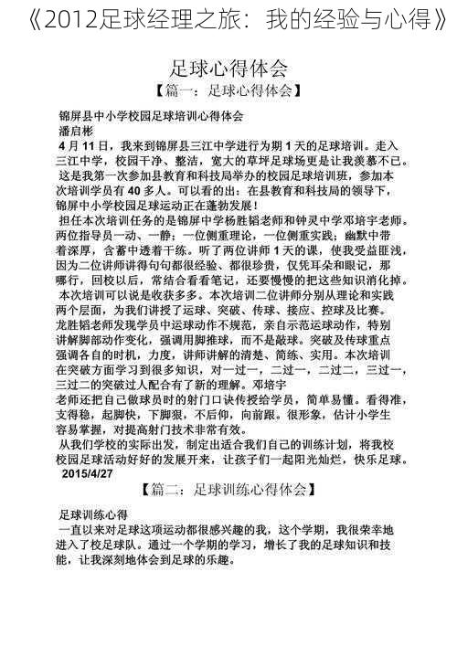 《2012足球经理之旅：我的经验与心得》