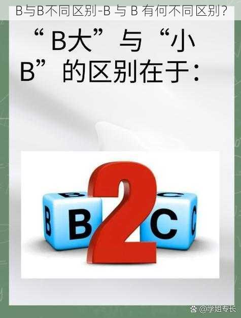 B与B不同区别-B 与 B 有何不同区别？