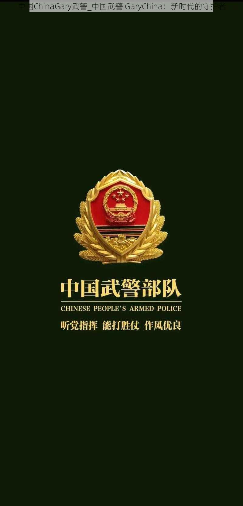 中国ChinaGary武警_中国武警 GaryChina：新时代的守护者