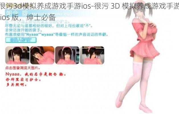 很污3d模拟养成游戏手游ios-很污 3D 模拟养成游戏手游 ios 版，绅士必备