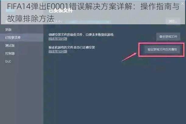 FIFA14弹出E0001错误解决方案详解：操作指南与故障排除方法