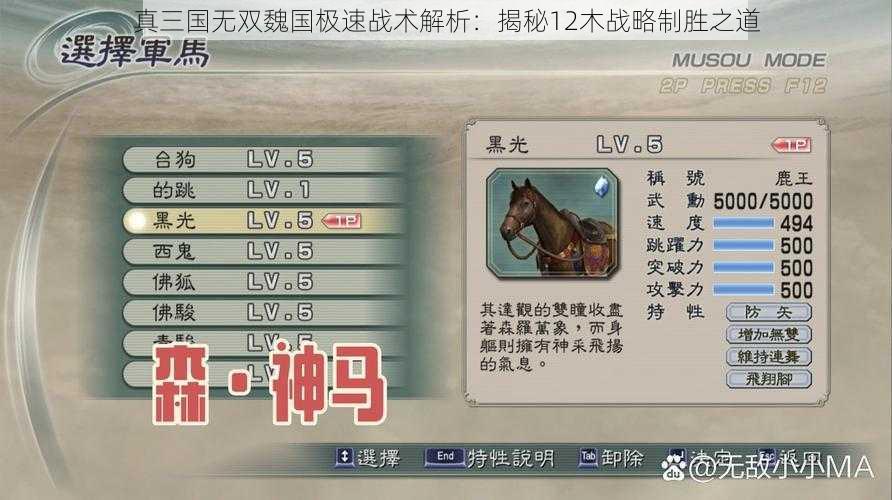 真三国无双魏国极速战术解析：揭秘12木战略制胜之道