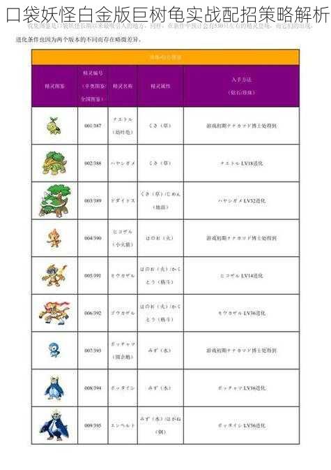 口袋妖怪白金版巨树龟实战配招策略解析