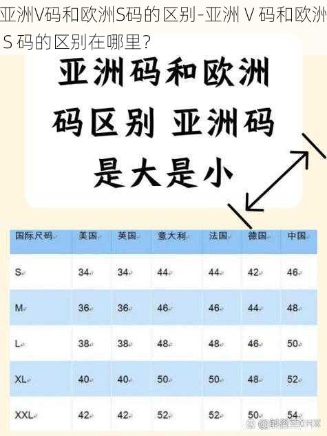 亚洲V码和欧洲S码的区别-亚洲 V 码和欧洲 S 码的区别在哪里？