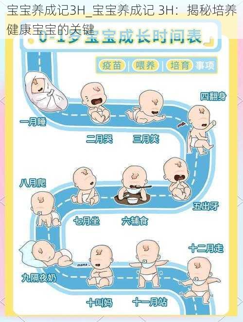 宝宝养成记3H_宝宝养成记 3H：揭秘培养健康宝宝的关键