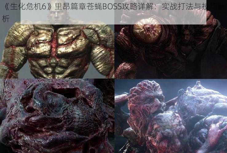 《生化危机6》里昂篇章苍蝇BOSS攻略详解：实战打法与技巧解析