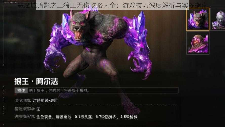 恶魔城暗影之王狼王无伤攻略大全：游戏技巧深度解析与实战指南