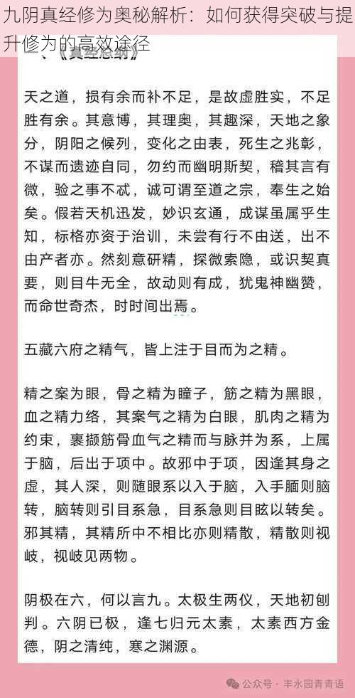 九阴真经修为奥秘解析：如何获得突破与提升修为的高效途径