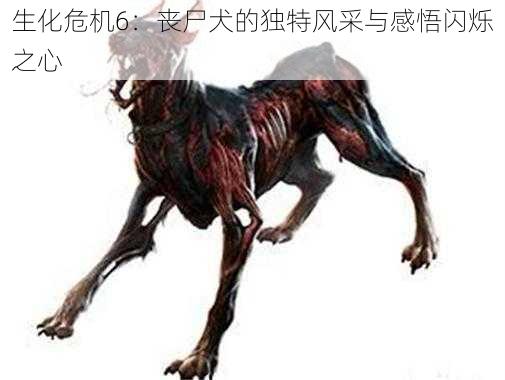 生化危机6：丧尸犬的独特风采与感悟闪烁之心