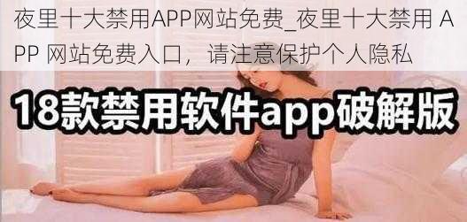 夜里十大禁用APP网站免费_夜里十大禁用 APP 网站免费入口，请注意保护个人隐私