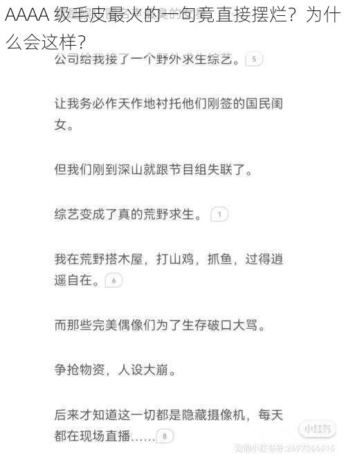 AAAA 级毛皮最火的一句竟直接摆烂？为什么会这样？