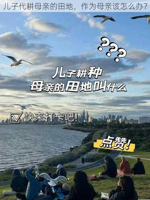 儿子代耕母亲的田地，作为母亲该怎么办？