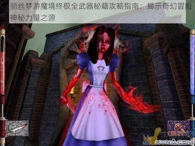 爱丽丝梦游魔境终极全武器秘籍攻略指南：揭示奇幻冒险的神秘力量之源